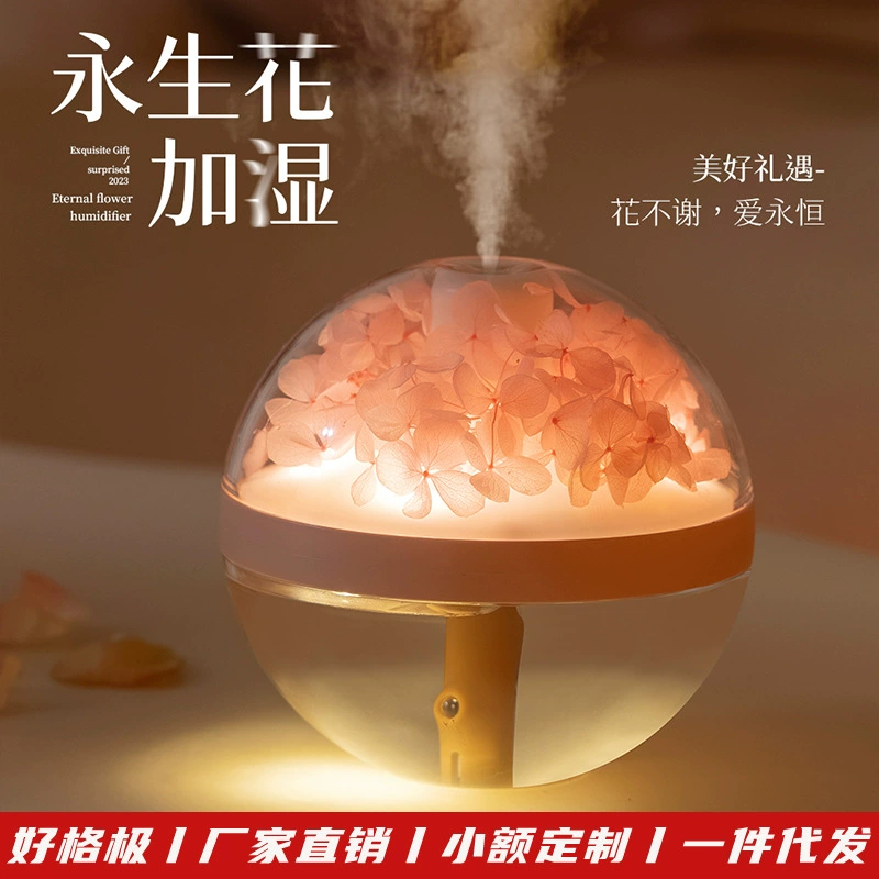 Creative humidifier, moisturizing lights for bed, Birthday gift
