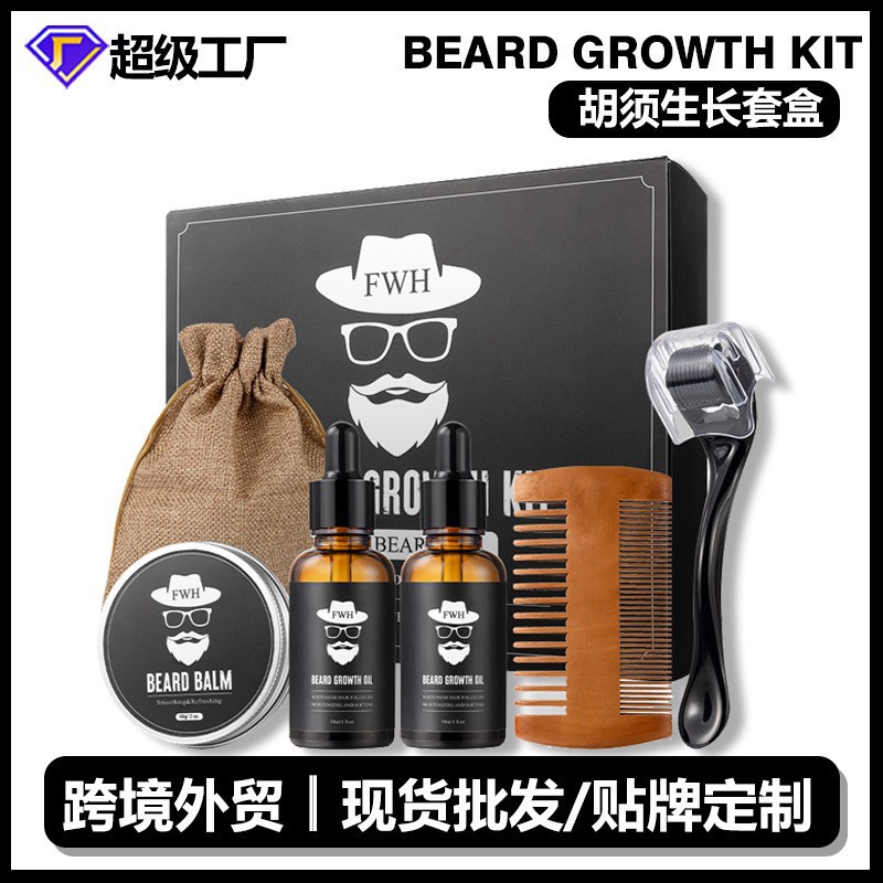 니들 롤러가 포함된 수염 키트 6개(신제품 출시, 국경 간 핫 세일)