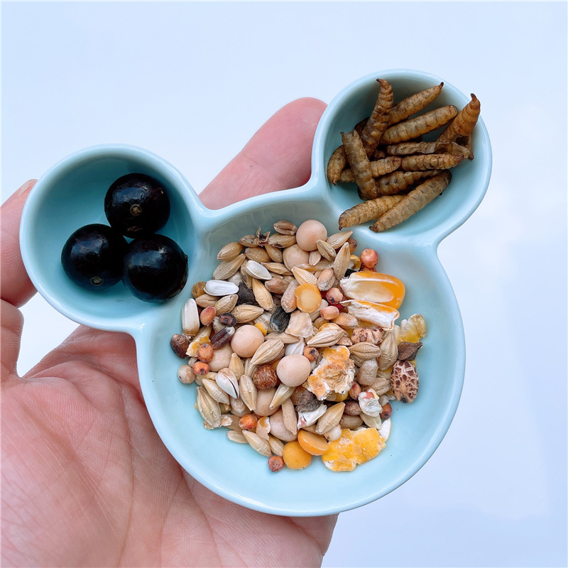 米奇瓷碗 (7).jpg