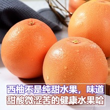 南非西柚含叶酸葡萄柚红心柚子新鲜水果孕妇进口当季时令果包邮
