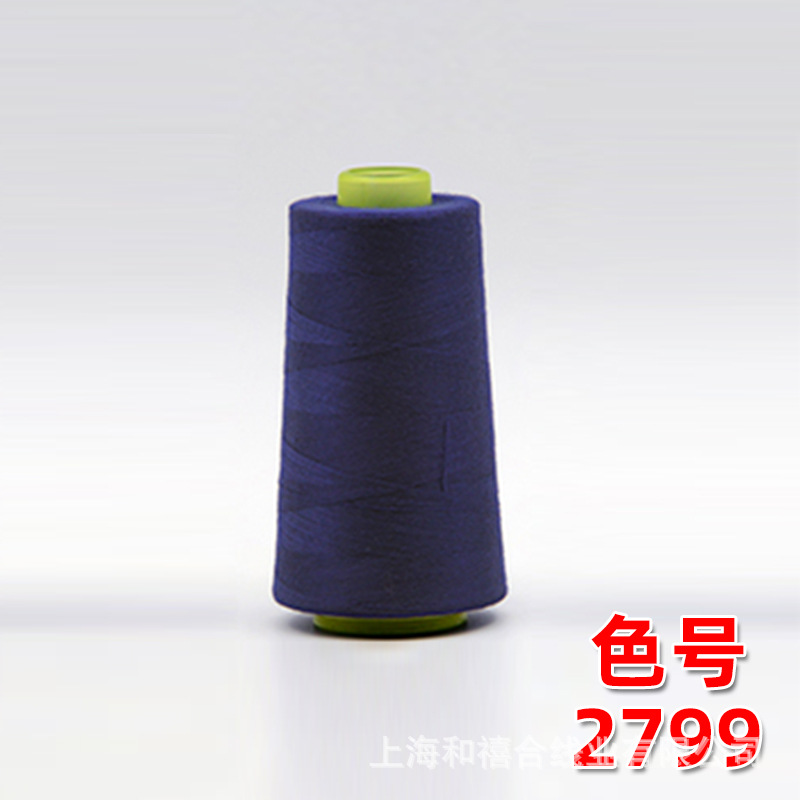 3000년 바이올렛 2799