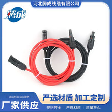 �S�Ҷ��� ������L���p�^MC4�B���� ̫����B����������쾀 TUV