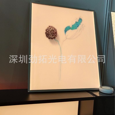 厂家直销导光板UV印刷图案室内装饰立体灯画展示柜热弯LED发光板|ru