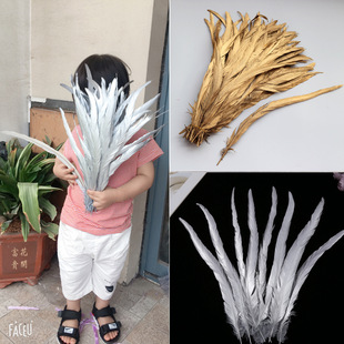 �S��ֱ�N��ɫ��ë�yɫ���uβ��ë��������y���b�o�ϔzӰ�[�ĵ���