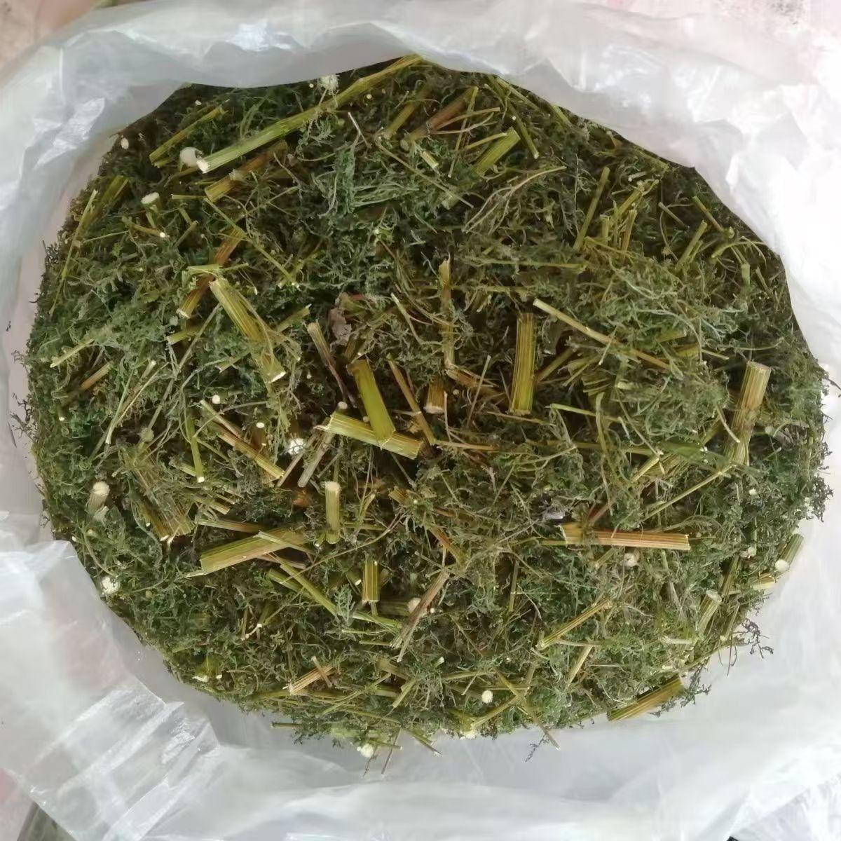 Qing Hao Dried Artemisia annua Leaves 500g Sweet Wormwood Herb for Traditional Decoctions and Herbal Tea specifications