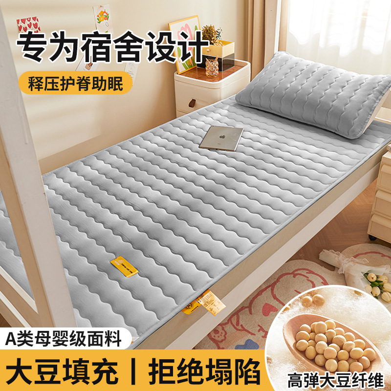 Colchón de soja, cojín, dormitorio de estudiantes en casa, cojín individual, cojín, piso especial para alquiler, cojín para dormir, fondo de cama