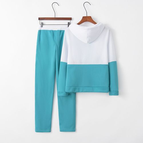 European and American Autumn/Winter Fashion Sporty Casual Padded Thick Splicing Contrast Color Hooded Pouch Zip Sweatshirt Set