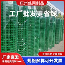 ���ƼӴ�Ӳ���F�z�WȦ���Bֳ���ھW���x�F�z���m�W