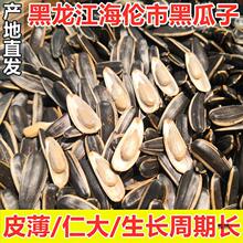 �|��ԭζ����ɢ�b���տ������Ӵ��������Ѵ�偬F��Ƥ���ִ���5��