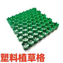 ����ֲ�ݸ�ͣ܇����ƺ��u�G���W������܇��С�^�ӵ��o�¾Gɫ���