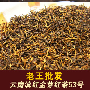 ���������l���t����ѿ����P�c��t���ȫѿɢ�b���l