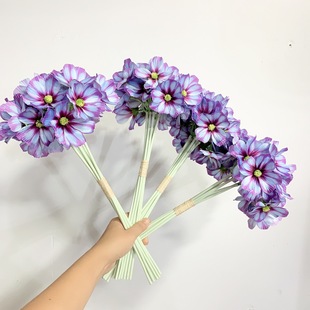 ���滨��ɣ���^������˹�ռٻ���c·���zӰ���ߵ�䁙����b�