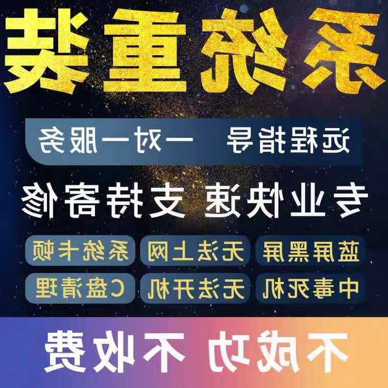 电脑维修远程故障蓝屏清理笔记本寄修咨询11系统重装在线服务