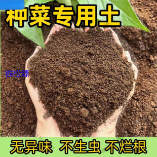 ̨�N�ˌ�������@�����������Nֲ�������߲ˠI�B������