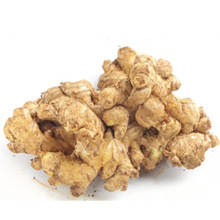 正宗云南小黄姜高山挖农家新鲜生姜月子姜老姜批发一件代发