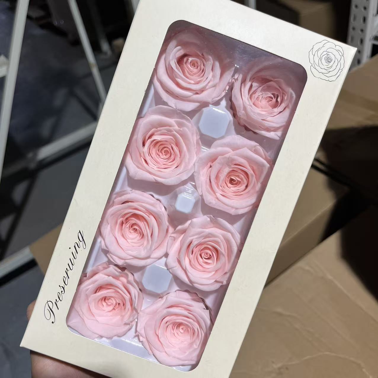 Cabeza de Rosa Preservada B+, 4-5 cm, Regalo para el Día de San Valentín Chino, Ramo de Flores Preservadas al por Mayor, Flores Secas para DIY, 520