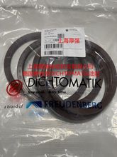 ��DICHTOMATIK�¿��~�ص��Ϸ���z�ͷ�DIN3760 WA160X190X15FKM