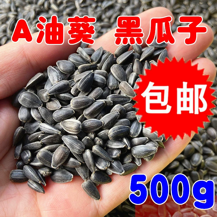 Черная жемчужина мелкие семена дыни/семена подсолнечника/масло подсолнечника семена птица еда хомяк закуска птица еда голубь еда 500 г