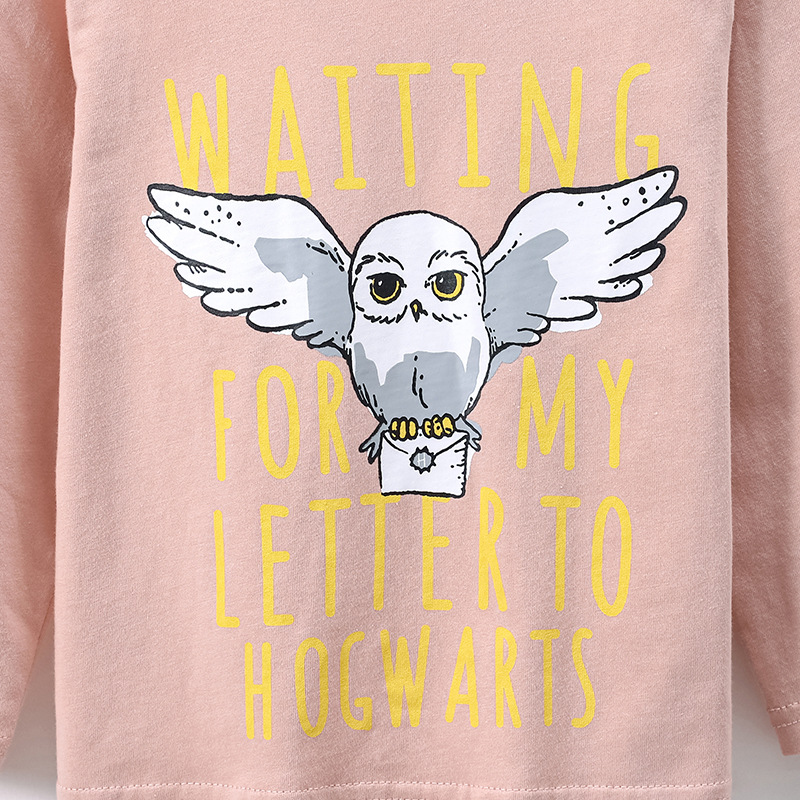 JOJOBEBE ropa para niños europeos y americanos otoño nueva camiseta para niños algodón de manga larga de dibujos animados cuello redondo Camiseta para niños