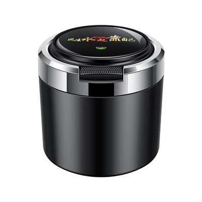 ins, Car ashtray