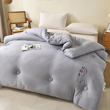 大豆纤维被宿舍空调学生被子A类棉被被芯新款四季通用秋冬被加厚