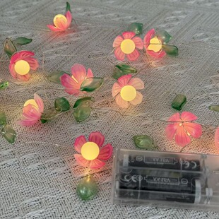 �羳�����һ� LED �~������ �G�~�������ͷՇ��� ���ջ�c�b�