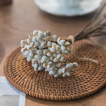 小白果乌桕果天然白色干花手工DIY酒店名宿插花装饰摆件干果干枝