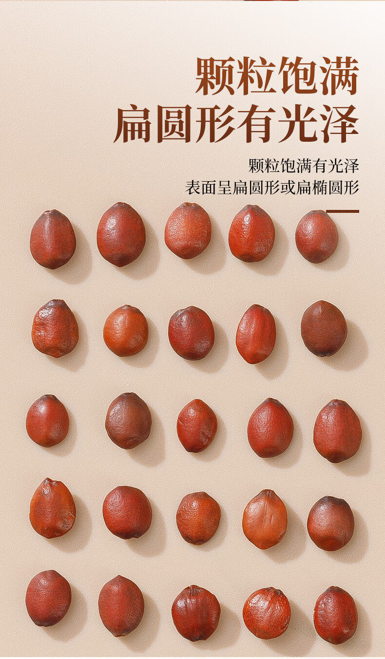 Sour Jujube Seed Suan Zao Ren 500g Dried Ziziphus Seeds for Herbal Tea and Decoction quality and texture