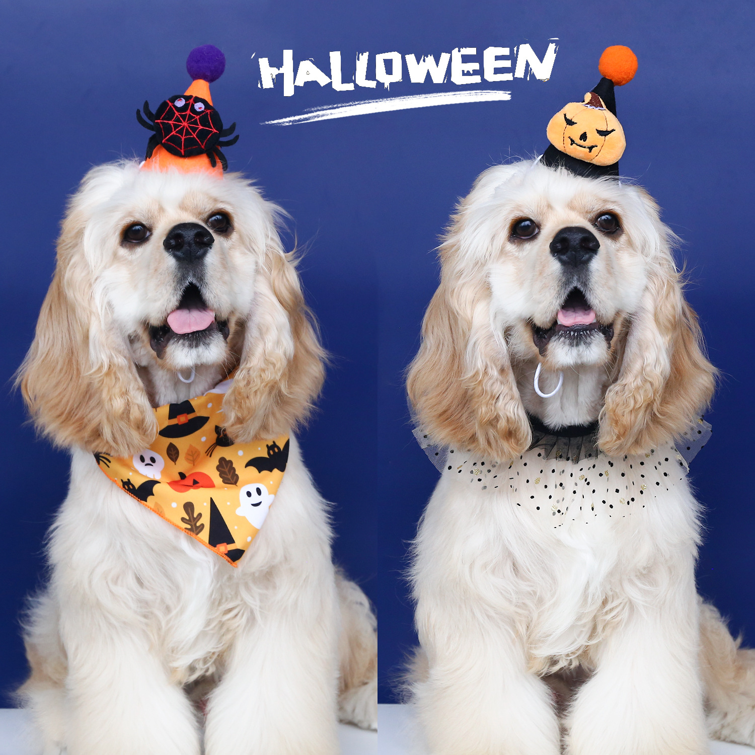 2024 mascotas Halloween set murciélagos araña calabaza sombrero tocado de encaje围裙 pañuelo gato perro