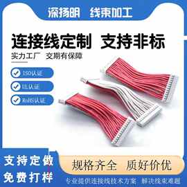 2.0端子连接线材线束双排线线PHD2.0端子线加工红白排线连接器