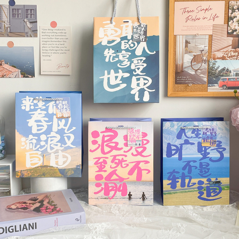 High-End Ins-Style Gift Bags, Valentine's Day High-Value Gift Tote Bags, Clothing Store Shopping Paper Bags with a Sense of Design