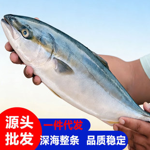 ԭ�b������~�͸��~�Sβ����l�{���~����~�Sβ�{ƽ���¼t�~���l