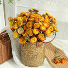 ���lС�r�ոɻ�������Ȼ�L���滨�͏d�[�O�������r���b�һ�����l