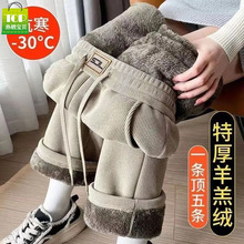 �ӽq/���ӽq�����q��о�q���Ů�ﶬ�Ӵ�a�غ�ѩ�᠖ֱͲѝŮ