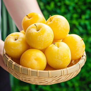�SƤ����������������Ӯ������r�ЋDˮ������ڲ��������������