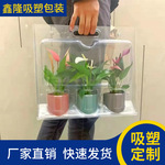 厂家红掌打包盒花卉园艺鲜花花苗盆栽手提透明盒红掌电商专用塑料