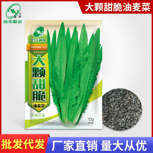 ���w��������˷N��10g �������Դ�����ζ���������ѷN�߲������l