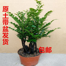 С�~��̴�辰�䘶�҃��̨�Ϙ����Ժ�̴�ļ�������ȩ���Bֲ����]