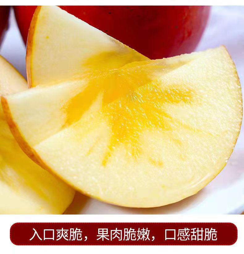 微信图片_2021110620481910