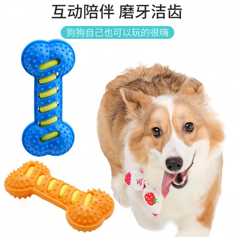 国境を越えた犬のおもちゃ、噛みつきにくい歯ぎしりスティック、インタラクティブなトレーニング犬のおもちゃ、ゴム製の音の出る骨、ペット用品の卸売|undefined