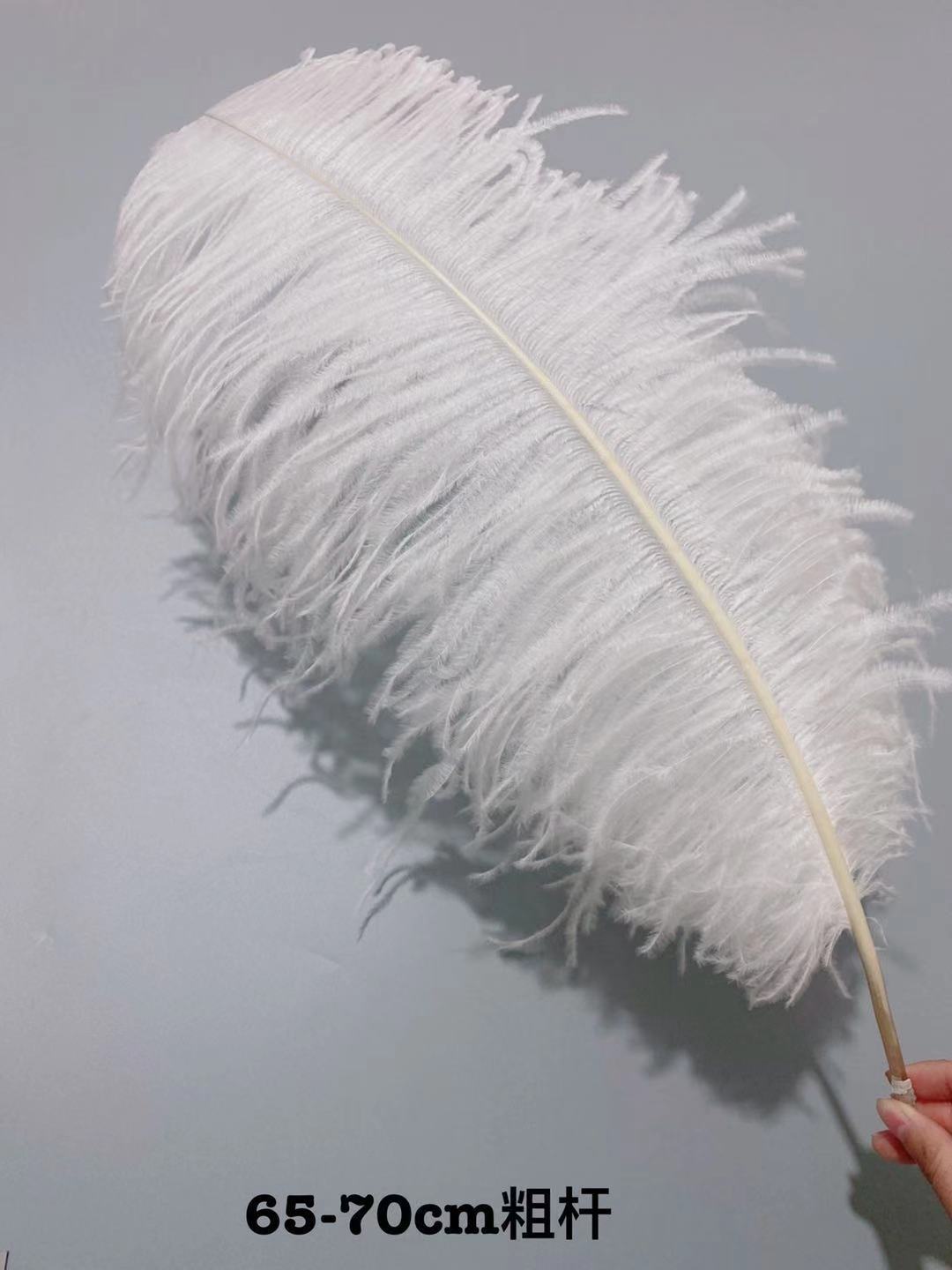 052a07d38b6b9333648c96b63258fb