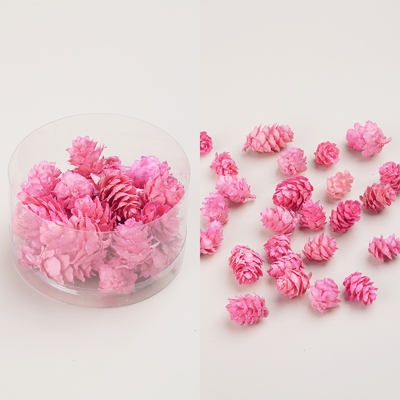天然アロマキャンドル乾燥果花材クリスマス花輪diy乾燥花材植物標本装飾画松果|undefined