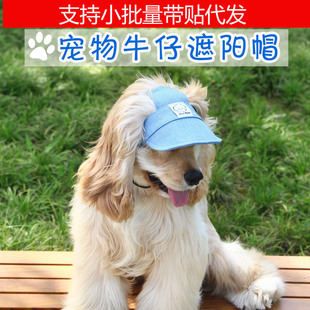 Cross-Border Pet Outing Cowboy Sun Hat Cat Small, Medium and Large Dog Peaked Cap Embroidered Cartoon Cute Shiba Inu Head