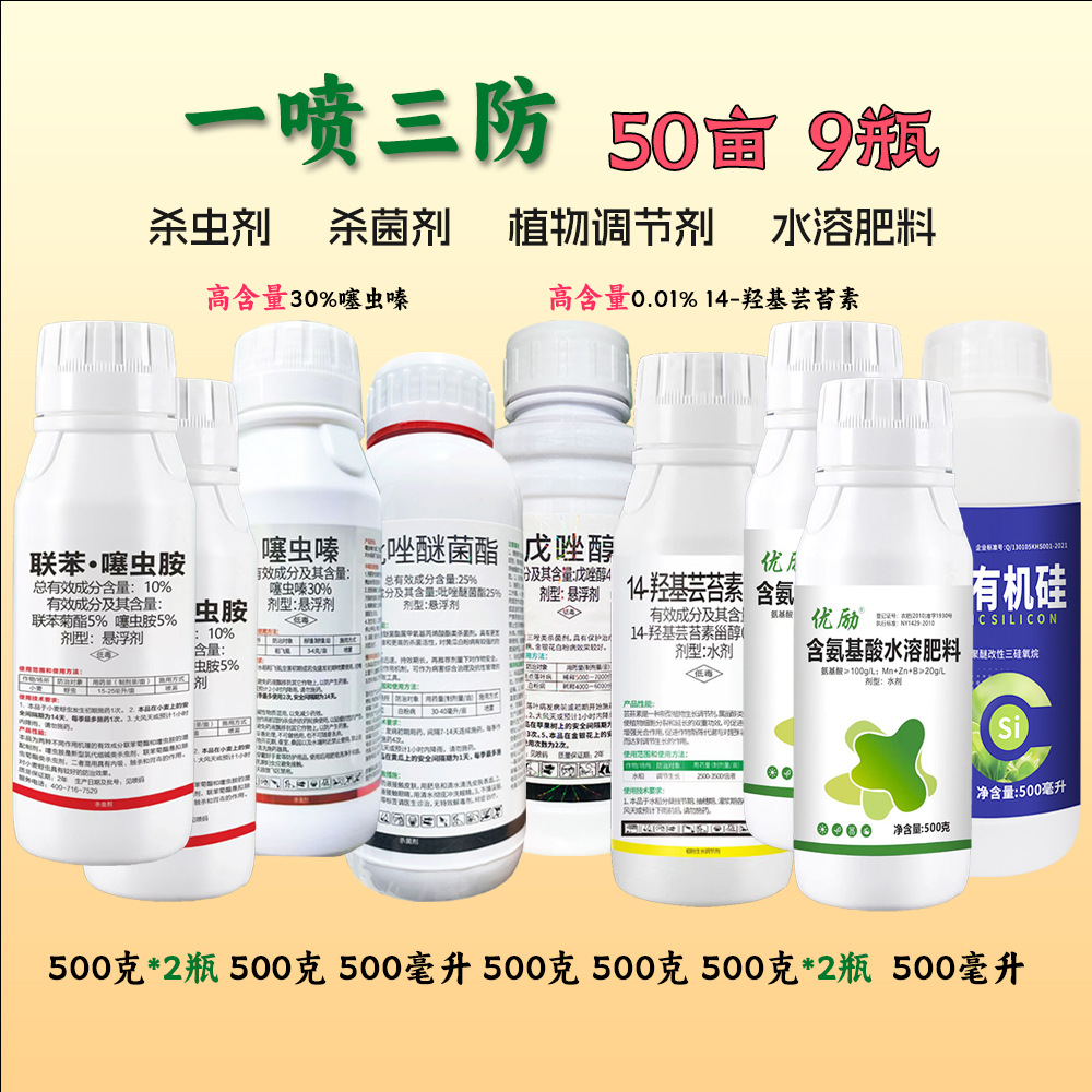 С���ײ�500��1