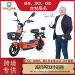 跨境热销出口批发旗舰型号成人两轮电动自行车电动车