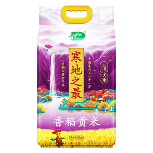 ʮ�µ��� ����֮���㵾ؕ��5kg  �|������10���b �T���������նY