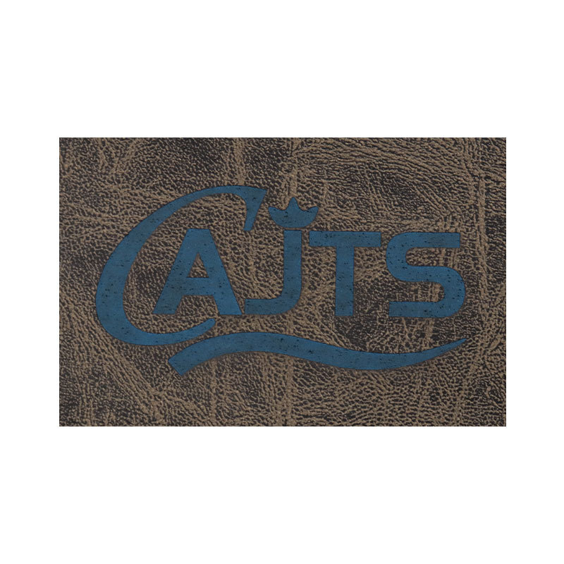 다크 브라운 레이저 블루