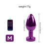 Electroplated Purple APP Large Bag