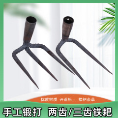 鋼鉄製のフック付き掘り起こし器、農業用熊手、草寄せ、二爪、三爪、三歯、二歯、苗木、園芸、園芸用具