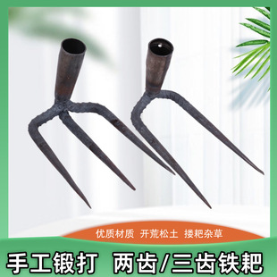 Steel Rake for Agricultural Use, Two-Pronged and Three-Pronged, for Raking Grass and Cultivating Seedlings, a Gardening Tool